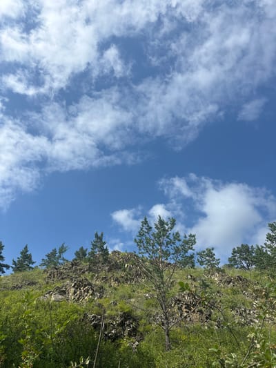 The image shows a rocky, wooded hillside under a blue sky with scattered white clouds. The vegetation consists of various green trees and bushes, with some rocks protruding through the foliage. The terrain appears rugged and uneven, suggesting a natural, undeveloped area. The sky occupies the upper portion of the frame, filled with a mix of fluffy and wispy clouds. The scene conveys a sense of natural beauty and tranquility. This image was captured in the vicinity of Shida, Russia.