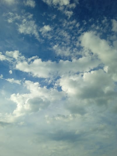 A wide shot captures a vast expanse of the sky, predominantly filled with varying densities of white and grey clouds against a deep blue backdrop. The clouds are distributed unevenly, with some appearing wispy and thin, while others are thick and cumulus-like, suggesting a dynamic atmospheric condition. In the upper central portion of the frame, a small, dark silhouette of what appears to be a bird or insect is visible against the blue sky. The lighting suggests daytime, with sunlight illuminating the upper surfaces of the clouds, creating a sense of depth and texture. The image is devoid of any earthly elements, focusing solely on the sky. The location is Taran-Bazar, Kyrgyzstan.