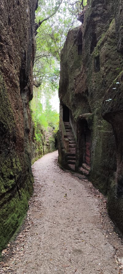 The image shows a narrow path carved into volcanic tuff rock formations located in the Viale dei Boschi Necropolis of Corchiano, Italy. The path is covered in gravel and scattered leaves. The walls of the path are high and lined with moss. Carved into the right wall is a set of stairs leading to a dark opening and a wooden door. Further up, there are two small, square, window-like openings in the rock. Above, the path is partially covered by green trees and foliage, allowing some light to filter through. The perspective is from a ground-level view, looking down the path.