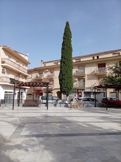 This image depicts a daytime scene in a public square in Olula Del Río, Spain. The weather appears to be clear and sunny, with a bright blue sky and casting shadows from the surrounding buildings and a tall, slender cypress tree.
In the foreground, the square is paved with large, light-colored tiles arranged in a geometric pattern with darker borders. A wooden pergola with a slatted roof extends from the left side of the frame, supported by dark metal poles. Beneath it sits a wooden park bench.
Several buildings, likely apartment buildings or mixed-use commercial spaces, line the square. They are of a light, sandy color and feature multiple balconies with white railings. Air conditioning units are visible on some of the facades. The ground floors of the buildings appear to house shops, with some having roller shutters.
A tall, dark green cypress tree stands prominently in the center of the image, reaching towards the sky. To the right of the tree, a small fountain or decorative structure made of stacked stones is visible. Beyond this, a dark red car and a silver van are parked in front of the buildings.
Visible text includes "SE ALQUILA" (for rent) on a sign in one of the shop windows. The overall impression is a quiet, sun-drenched town square, likely in the early to mid-afternoon, given the length and angle of the shadows. There are no people clearly visible in the scene, contributing to a sense of stillness.