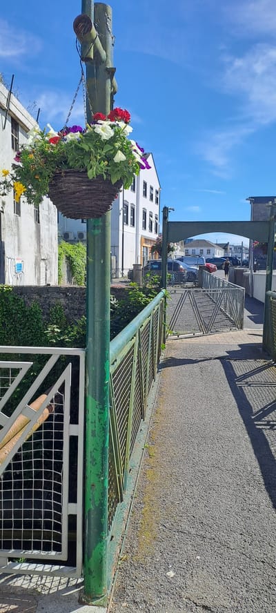 The image shows a street scene in Castlebar, Ireland, on a sunny day. The foreground features a large green metal pole with a hanging basket of colorful flowers, including red, white, and purple petunias. Behind the pole, a green metal fence or railing runs along the side of a paved area.
In the middle ground, a white building with multiple windows stands to the left. Across the street, several cars are parked, including a dark blue van and a red car. Another building with a yellow awning is visible behind the cars. Green foliage is growing on the side of some of the buildings and along the fence.
The background shows more buildings and a clear blue sky with some wispy white clouds. The overall impression is a bright, cheerful day in a town. The image is taken from a slightly elevated perspective, looking down and across the street. There are no people prominently featured in the image, but there appear to be a few figures in the distance near the parked cars. The scene is static, with no specific activity taking place beyond the general presence of vehicles and buildings. The time of day is likely daytime, given the bright sunlight and shadows cast.