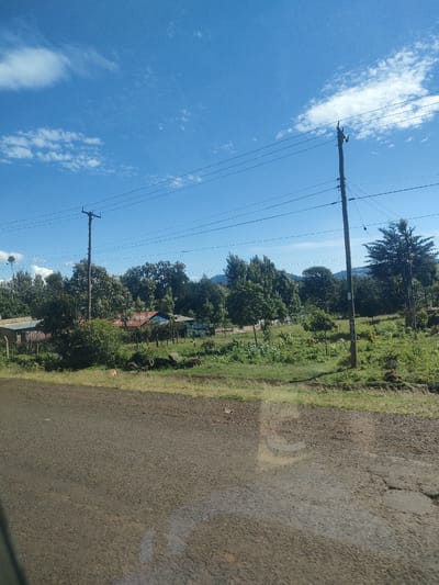 The image depicts a rural scene in Kenya, possibly in a Municipality ward. A paved road dominates the foreground. Beyond the road, a grassy verge leads to a line of trees and vegetation. Two utility poles with electrical wires stretch across the sky. In the distance, houses with red roofs and a fence can be seen. The sky is blue with scattered clouds. There are no people visible. An animal, possibly a dog, is in the grass near the road.