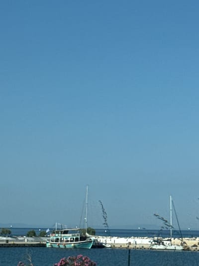 The image shows a harbor in Skala Kallirachis, Greece. The sky is clear and blue, and the sea is calm. In the foreground, there are two boats docked. The boat on the left is a turquoise passenger boat with a white roof and many windows. It has a flag flying from its stern. The boat on the right is a white sailboat with a tall mast. In the background, there is a breakwater made of large white rocks. Behind the breakwater, there are some trees and buildings, and a distant coastline. There are also some flowers in the lower right corner of the image.