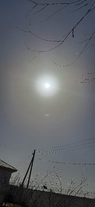 The image depicts an outdoor scene in Qorovulbozor, Uzbekistan, under bright daylight with atmospheric haze. The sun, a brilliant white orb, is prominently featured in the upper-middle section of the frame, accompanied by a distinct lens flare positioned directly below it. The sky is a uniform, light gray-blue. In the foreground and midground, numerous dark, bare deciduous tree branches with fine twigs are silhouetted against the bright sky, partially obscuring the view. A small, dark-colored bird is perched on one of these branches in the lower-middle left. A dark utility pole is visible on the left side, from which multiple dark utility wires extend horizontally across the mid-section of the image. The corner of a light-colored building with a dark, ridged roof is partially visible in the lower-left corner, positioned behind the utility pole and some branches. A dark, solid wall or fence runs horizontally across the lower portion of the image, in front of the building and utility pole.