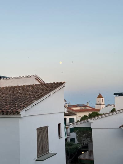 The image depicts a view of the town of Calella De Palafrugell, Spain, at dusk. The sky is a soft gradient of pale blue to a lighter hue near the horizon, with the moon visible as a pale disc in the upper portion of the frame. Numerous small, dark shapes, likely birds or insects, are scattered across the sky.
In the foreground, the white walls and red-tiled roofs of houses are prominent. One building features a sawtooth decorative edge along its roofline. Another house has weathered brown shutters on a window, with a small ledge below it. Further into the scene, more white buildings with red roofs are visible, some equipped with solar panels. A notable structure is a white bell tower with a conical, reddish-orange roof and a cross at its apex, characteristic of Spanish coastal towns.
The architecture suggests a Mediterranean style, with stucco walls and terracotta roof tiles. Greenery, including trees and shrubs, can be seen interspersed among the buildings, hinting at the presence of gardens or natural landscaping. The overall impression is one of a peaceful evening in a coastal European town.