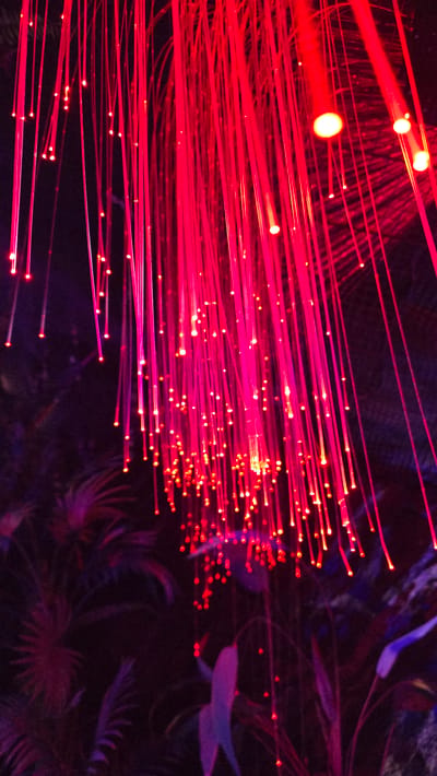 The image shows a close-up view of numerous thin, glowing red fiber optic strands cascading downwards against a dark, out-of-focus background. The tips of the strands are illuminated, creating small points of bright red light, some appearing as larger orbs due to the light intensity and focus. The background appears to be foliage, rendered in shades of deep purple and dark green, suggesting a dimly lit, possibly tropical or exotic environment. The overall impression is one of vibrant, dynamic light against a subdued, natural backdrop. This scene is located within the Cave of Lights at Gwangmyeong Cave, Gwangmyeong City, Gwangmyeong-si, Gyeonggi-do, South Korea.