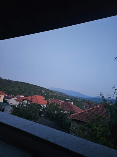 The image captures a static, elevated view of the village of Slashten, Bulgaria, at twilight, looking out over a landscape of traditional architecture and natural terrain.
In the immediate foreground, a dark, textured horizontal surface, likely a concrete or stone railing, occupies the bottom portion of the frame, with a subtle diagonal seam extending from the left. Above this, the midground reveals a dense cluster of residential buildings with prominent red and terracotta tiled roofs, indicative of traditional Balkan architecture. Some houses exhibit light-colored or stone walls, nestled among abundant green trees and foliage. A notable structure with a stone base and a red-brick, multi-tiered chimney-like top is visible towards the right midground. Another house features a solar water heater panel on its roof. Vine-like plants with visible leaves frame the far right edge of the image.
The background consists of rolling hills heavily covered with dark green forestation, ascending towards the left. Beyond these closer hills, distant mountain ranges are discernible, appearing as muted blue silhouettes against the pale, uniform blue-grey sky. The lighting is soft and diffuse, characteristic of either dawn or dusk. No people, vehicles, or active interactions are visible within the scene.