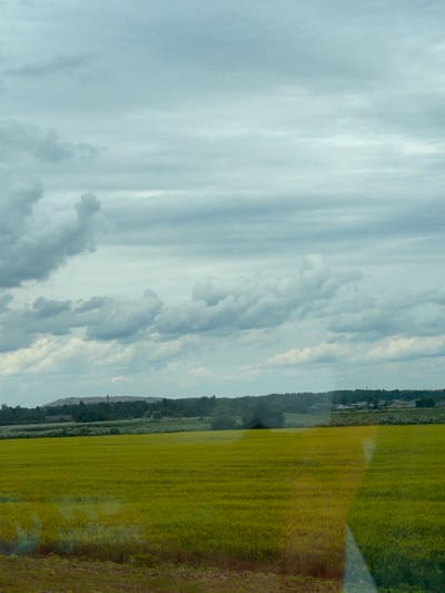 This is a landscape photograph taken from a moving vehicle, likely a train, looking out over a vast, flat expanse of green and yellow crops. The field dominates the foreground and midground, stretching to the horizon. In the distance, a line of trees forms a dark band, beyond which a settlement or industrial area is visible with buildings and structures, including what appears to be a tall, slender tower. A large, dark hill or mountain rises behind the settlement. The sky above is overcast with thick, gray clouds. There are no people or animals visible in the image. The light is diffused due to the cloudy sky, giving the scene a subdued and somewhat muted color palette. The location is identified as Prigorodnyi, Russia.