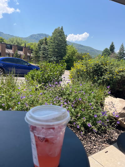 A close-up shot shows a plastic cup of pink beverage with a clear lid, positioned on a dark surface in the foreground. Beyond the cup, a vibrant scene unfolds with lush green bushes dotted with small purple flowers, and taller bushes bearing yellow blossoms. A winding road is visible behind the foliage, with a blue car parked on the left side. In the background, a row of brick buildings with dark windows sits amongst evergreen trees, leading to a backdrop of rolling green mountains under a bright blue sky with scattered white clouds. The scene suggests an outdoor setting, possibly a patio or cafe, in Park City, United States of America.