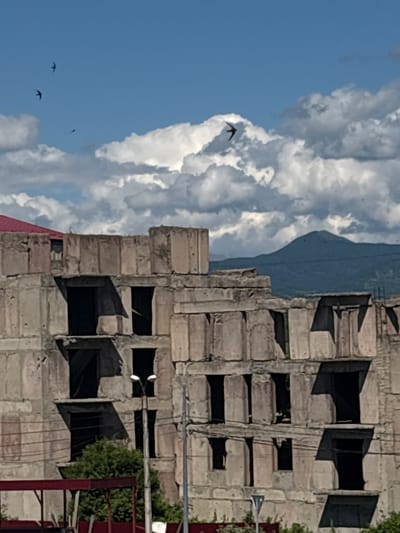 A construction site in Tskhinvali, South Ossetia is depicted under a cloudy blue sky. In the foreground, an unfinished concrete building with multiple stories and open window frames is visible. The building appears to be in a state of disrepair, with exposed concrete and dark openings where windows should be. To the left, a red-roofed structure peeks out behind the concrete building. A street lamp with two lights stands in front of the building. In the middle ground, a distant green mountain range under a sky filled with fluffy white clouds can be seen. Several dark birds are captured in flight against the sky, some appearing to be swallows. Power lines are strung across the scene in front of the building. The ground below the building is obscured by dense green foliage and what appears to be parts of a red metal structure. The overall impression is one of ongoing construction or abandonment in an urban or semi-urban setting.