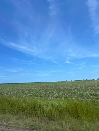 The image displays a vast, open agricultural landscape under a clear, bright blue sky, presented as if rotated 90 degrees counter-clockwise for proper orientation. The horizon line is positioned low, with the expansive sky occupying approximately two-thirds of the frame.
The sky is a vivid, deep blue, adorned with thin, wispy white clouds that are sparsely scattered, suggesting cirrus or high-altitude cirrocumulus formations. The consistent bright lighting indicates it is daytime, likely mid-morning or afternoon, under sunny conditions.
Below the horizon, a large cultivated field stretches into the distance. The field is planted with young, green crops, arranged in visible rows, with the darker soil showing between the plants. The crops appear to be in an early stage of growth. Along the right edge of the cultivated area, a denser strip of taller, natural green vegetation, possibly grasses or weeds, borders the field. In the very far distance, tiny, indistinct white shapes, potentially buildings or structures of a distant settlement, are faintly visible along the horizon line.
There are no people or specific activities taking place within the image, which captures a tranquil and static rural scene. No visible text is present. The overall impression is one of peaceful, expansive countryside, consistent with the provided context of Kumanovo, Bulgaria, a region known for its agricultural plains.