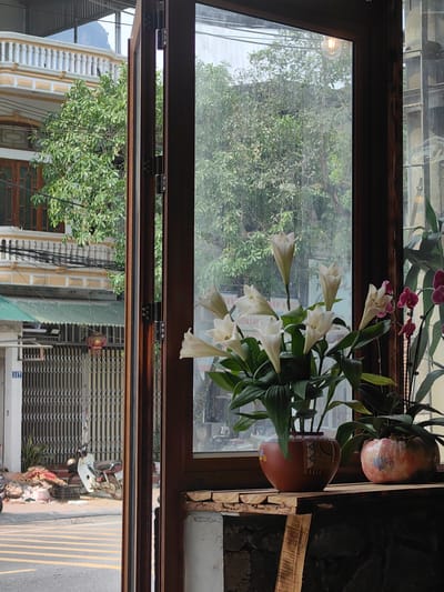 A partially opened dark wooden window frame reveals a view from inside a building onto a street scene. Outside, there is a building across the street with a light yellow façade and brown window frames. Green foliage from trees obscures parts of the building. Below, a grey metal security gate stands in front of a building with a sign reading "117." A motorbike sits parked to the side, partially covered by debris. Yellow painted lines mark a crosswalk on the street. Inside, white lilies in a brown patterned vase are prominently displayed on a wooden shelf. Adjacent to the lilies is another plant in an orange-tinted pot. The city is likely Thành phố Hà Giang, Vietnam, given the architectural styles and street features visible.