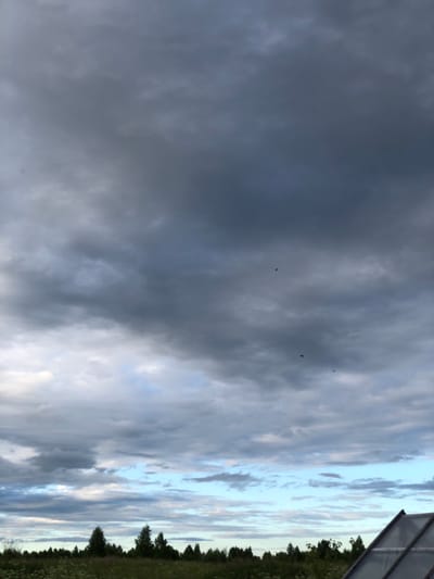 The image depicts a cloudy sky over a rural landscape. In the distance, a line of trees forms a dark silhouette against the horizon. The sky is filled with various shades of gray and white clouds, with patches of pale blue visible between them. There are three small, dark shapes in the sky, possibly birds or insects. In the foreground, the edge of a structure with a sloped, transparent roof is visible on the right side of the frame. The ground below the trees appears to be covered in green foliage and some white flowers. The scene suggests an outdoor environment, likely in a rural or semi-rural setting. The location is identified as Uriupino, Russia.