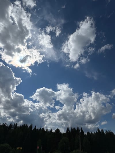 The image depicts a cloudy sky above a dense forest. The sky is a deep blue, with large, fluffy white clouds dominating the upper portion. Sunlight breaks through some of the clouds, creating a bright, almost iridescent effect. In the distance, the silhouettes of numerous coniferous trees form a dark, uniform line against the brighter sky. The foreground shows a hint of foliage and what appear to be road signs, suggesting a roadside or natural landscape near a developed area. The overall impression is one of a natural, possibly rural setting on a bright but overcast day. There are no people visible in the image.