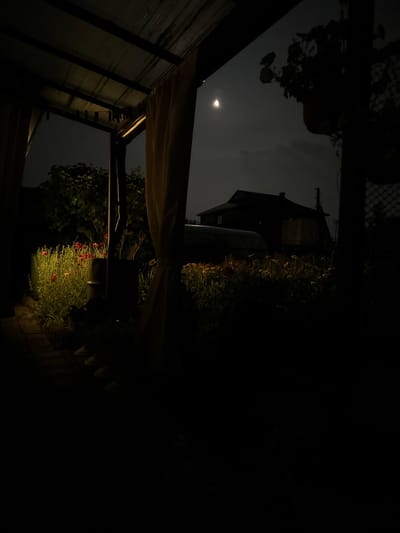 The image depicts a nighttime scene from a covered porch or gazebo, looking out onto a garden and a house. The sky is dark with some cloud cover, and a sliver of moon is visible. A light source within the gazebo illuminates a section of the garden, highlighting red flowers and green foliage. Beyond the garden, a silhouetted house is visible, with a chimney and possibly another structure next to it. The overall impression is one of a quiet, rural night in a garden setting. This image appears to be taken in the village of Chuguyevka, Russia, judging by the architectural style and the type of vegetation.