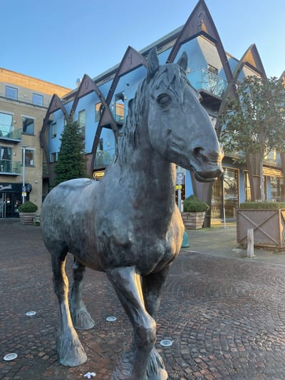 A large, weathered bronze statue of a shire horse stands in a pedestrianized urban square at Brewery Square, Dorchester, United Kingdom. The statue faces slightly forward and to the right, with its right side illuminated by direct, low-angle sunlight under a clear blue sky. White debris, possibly litter, is visible on the patterned cobblestone pavement near the statue's left front hoof, surrounded by several recessed circular ground lights. In the background, a modern, light blue-paneled building with dark brown 'A'-frame architectural elements displaying the numbers '2', '0', and '1' at their peaks is prominent. This building contains a 'Pizza Express' restaurant at ground level. To the left, a multi-story, lighter-colored building with glass balconies and a 'Brewers' sign is visible. An evergreen tree and various potted plants in square wooden planters are interspersed within the scene. There are no individuals present in the frame.