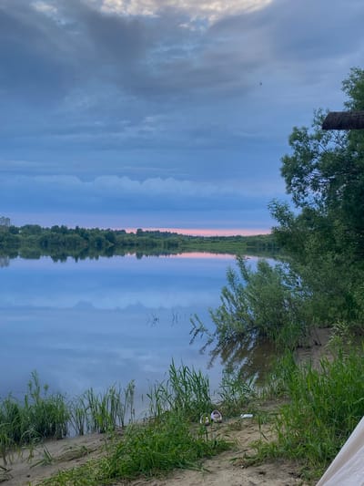 The image depicts a serene natural landscape with a calm river and a lush green shoreline. The sky is filled with dramatic, cloudy formations in shades of blue and gray, with hints of pink and orange near the horizon, suggesting either sunrise or sunset. The river's surface acts as a mirror, reflecting the sky and the dense line of trees and vegetation that borders the opposite bank. On the near bank, tall green grass grows abundantly along a sandy patch. A pair of light-colored slip-on shoes are placed on the sand near the water's edge, alongside a small white object, possibly a wrapper or tissue. A thick, leafy tree branch extends from the right side of the frame, partially obscuring the view of the sky and the far bank. The overall scene evokes a sense of tranquility and natural beauty. The location is identified as the city of Ryabinino, Russia.