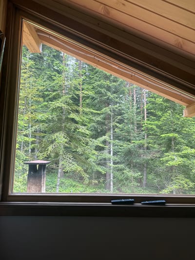 The image displays an indoor view looking out through a large, angled window into a dense forest of coniferous trees. The interior space, visible on the left, features light-toned wooden paneling and structural beams, suggesting a rustic cabin or attic room. A white flexible conduit runs along one of the wooden window supports.
Beyond the wooden-framed window, numerous evergreen trees with vibrant green needles dominate the landscape, indicating a lush woodland environment. On the right side of the window frame, two black remote controls are attached or resting, while the far right reveals a dark grey interior wall. Towards the bottom right outside the window, a dark wooden bird feeder or birdhouse with a reddish top is partially visible, mounted on a support.
The lighting suggests it is daytime, likely during clear or mildly overcast weather, providing soft, natural illumination to the forest. No people are present, and no specific activity is taking place other than the observation of nature. The scene conveys a sense of tranquility and connection with the natural environment, fitting for a location like Цигов чарк, Bulgaria, known for its forested areas. There is no visible text in the image.