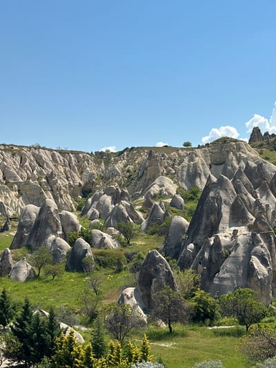 This image captures a breathtaking natural landscape in Göreme, Cappadocia, Turkey, under a brilliant blue sky. The scene is dominated by unique, light-colored volcanic rock formations, characteristic of the region's "fairy chimneys." These numerous formations vary in shape and size, presenting a dramatic and undulating terrain. Some rocks appear smooth and rounded, while others exhibit more rugged, eroded surfaces with intricate grooves and patterns formed by millennia of natural processes.

Patches of vibrant green grass cover the ground between and around the rock formations, particularly in the foreground and midground. Scattered amidst this greenery are various trees and bushes, showcasing different shades of green foliage. A few delicate yellow flowers can be discerned within the grassy areas, adding a subtle touch of color to the verdant landscape.

The upper section of the image is filled with a vast, clear blue sky, adorned with several soft, fluffy white clouds, primarily positioned on the left side. The bright and even lighting suggests a sunny day, likely mid-morning or early afternoon, enhancing the clarity and depth of the scene. The overall impression is one of natural grandeur and tranquility, with no people or overt signs of human activity visible. There is no visible text in the media file.