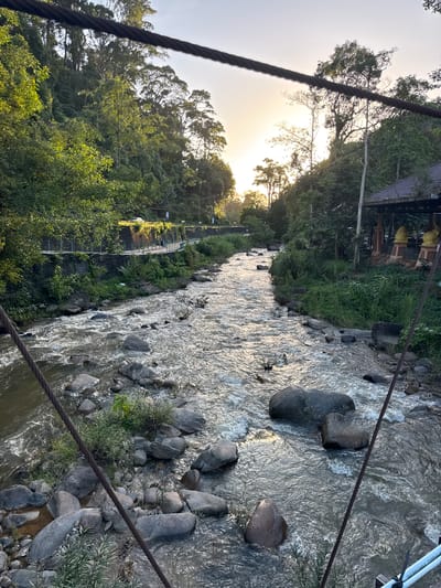 This is a photograph taken from a bridge overlooking a river flowing through a lush, green environment in Ranong, Thailand. The sun is setting, casting a warm glow over the scene. On the left bank of the river, a pathway with a stone wall and metal railings is visible, with trees and foliage growing above it. Further in the distance, a few people can be seen walking along the pathway. On the right bank, there's a covered structure with a tiled roof and decorative elements, possibly a resting area or a shrine, with two large golden statues visible. The river itself is wide and filled with numerous rocks of varying sizes, creating ripples and small rapids as the water flows. The surrounding vegetation is dense, with tall trees and undergrowth characterizing the landscape. The photograph is framed by thick cables in the foreground, indicating the perspective is from a suspension bridge.