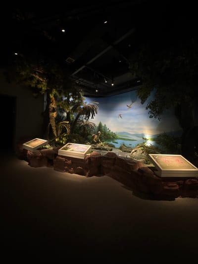 A museum exhibit features a diorama of a prehistoric landscape. Pterodactyls fly above palm trees and a dinosaur model. Three framed illustrations of fossils are mounted on an artificial rock formation. The left side of the image showcases the building's modern architecture, with glass walls reflecting light. The diorama blends seamlessly with a painted backdrop depicting a sunset. The exhibit's lighting is dim, creating a dramatic effect.