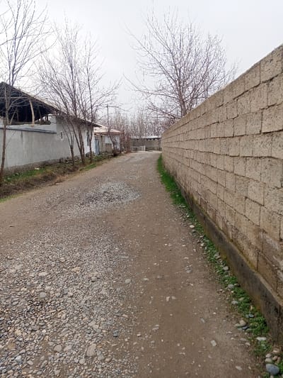 This image depicts a residential street or path in Pichakchi, Uzbekistan, under an overcast sky. The foreground and midground feature a dirt and gravel road, showing signs of wear with exposed aggregate and uneven surfaces, curving gently to the right. To the immediate right, a tall wall constructed from light-colored concrete blocks extends into the distance, paralleling the road. A narrow strip of green grass and scattered small stones runs along the base of this wall. On the left side of the road, several single-story buildings are visible. The closest building has a light grey stucco finish and a visible wooden roof structure. Further down the path, additional light-colored structures with small windows or doors are present. Multiple deciduous trees, bare of leaves, are positioned along the left side of the road and in the background, interspersed between and beyond the buildings. No individuals, animals, or active vehicles are present in the scene.