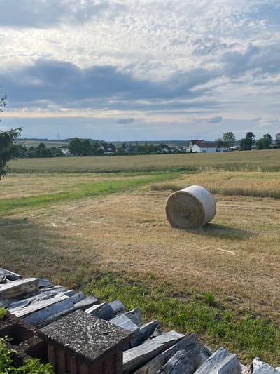 This media file captures a rural landscape scene. The primary subject is a single, round bale of hay lying in a dry, grassy field. In the background, a line of trees separates the field from a village with several houses. The sky is partly cloudy with dramatic, streaky clouds. To the right of the frame, a pile of weathered, wooden beams is stacked, some with moss or lichen growth. The lighting suggests it is late afternoon or early evening. The scene evokes a sense of peaceful rural life, possibly after a harvest. The location is identified as Neustadt, Germany. No people are visible in the image, and no text is present.