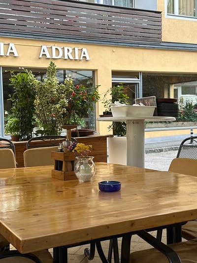 The image shows an outdoor seating area of a restaurant or cafe, likely in Zell am See, Austria, with a prominent yellow building facade featuring the sign "ADRIA". The foreground is dominated by a large, polished wooden table with a blue ashtray and a small decorative wooden holder containing a salt and pepper grinder, a small vase with dried flowers, and possibly other condiments. The table is set with chairs, partially visible, which appear to be upholstered in a neutral fabric and have dark metal frames.

Behind the table, a wooden partition separates the seating area from the interior, where several potted plants are displayed. These plants vary in size and foliage, with one featuring variegated leaves and small red berries. Beyond the plants, large windows offer a view into the building, revealing more indoor plants and architectural elements. To the right, a white pedestal table holds a white rectangular container, possibly for napkins or cutlery, along with a stack of dark plates. Further into the background, outdoor seating and foliage are visible, suggesting the restaurant is situated along a street. The overall impression is a well-maintained, inviting outdoor dining space.