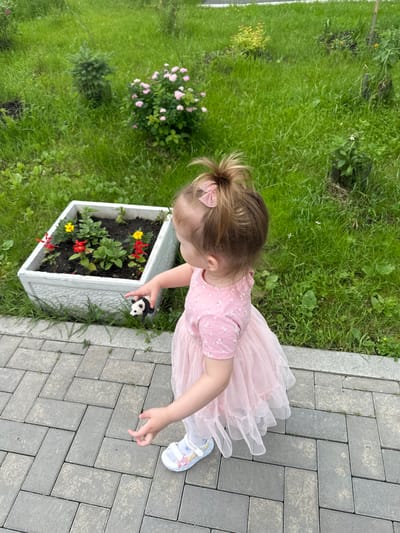 A young child in a pink dress with a tulle skirt and a pink hair bow stands on a paved pathway. The child is facing away from the camera and looking towards a rectangular planter box filled with red and yellow flowers and green foliage. The child is holding a small black and white toy panda in their right hand. The pathway is made of grey interlocking bricks, and behind the planter box is a grassy area with various plants and small trees. The environment suggests an outdoor setting, possibly a garden or park. There is no visible indication of the location being Fenchuganj, Bangladesh.