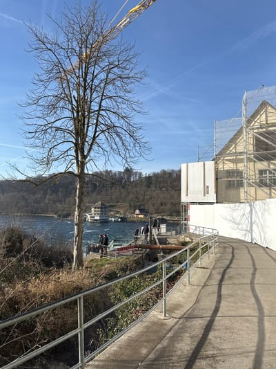 The image depicts a clear, sunny day along the Rhine River in Neuhausen am Rheinfall, Switzerland, with active construction elements. In the foreground, a prominent, leafless deciduous tree stands to the left of a concrete pedestrian path that curves right, bordered by a silver metal handrail. Shadows from the railing and an unseen object are cast across the path. To the right of the path, a building is undergoing construction or renovation, enveloped by scaffolding and white netting displaying the text "PEBA Gerüste AG." A large yellow crane arm extends diagonally into the upper left quadrant of the blue sky, which contains faint contrails.
In the midground, the Rhine River flows from left to right, characterized by choppy, dark blue water. Across the river, a multi-story building with a light facade and distinctive roof is partially visible, appearing to be situated on the riverbank or within the water. Further right along the river, a smaller building with a red roof can be seen. On the near bank, a series of metal stairs and platforms descend towards the river. Approximately six individuals are present on or near these structures. Two individuals in dark attire are visible on a lower platform, facing the river. Higher on the stairs, two other individuals, one wearing a blue hard hat, appear to be observing the river or engaged in activity. The riverbank immediately below the path and tree is covered in dry, brown vegetation and some evergreen bushes. The background consists of a tree-covered hillside across the river, indicating a lack of foliage.