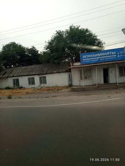 In the city of Sokuluk, Kyrgyzstan, a two-story building with a white facade and a corrugated metal roof is visible. The building has three windows on the left side and a covered storefront with an open doorway on the right. A blue banner above the storefront reads "АГРОХИМИКАТЫ" and lists "ВЫСОКОЭФФЕКТИВНЫЕ ПРЕПАРАТЫ ДЛЯ ФЕРМЕРОВ," "ПЕСТИЦИДЫ," "УДОБРЕНИЯ," "СЕМЕНА," and "ВЕТПРЕПАРАТЫ." The building is situated next to a road. The sky is overcast, and trees are visible behind the building. A timestamp "19.06.2026 11:50" is present in the lower right corner of the image.