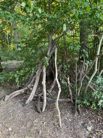The image shows a natural outdoor scene featuring a densely wooded area with a path visible in the background. In the foreground, a structure made of various fallen branches and logs is constructed, forming a naturalistic shelter or fort. The branches are weathered and have a rough texture. Lush green foliage from trees and undergrowth surrounds the structure, with sunlight filtering through the leaves, creating dappled lighting. The ground is covered in dirt, dry leaves, and scattered twigs. The overall impression is one of a secluded, natural environment within a forest. The provided context indicates the location is in the city of Sonchamp, France.
