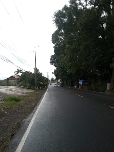 The scene depicts a wet asphalt road under an overcast sky in Kamji Na-Yekha, Bhutan. The road, running from the foreground into the distance, features a solid white line on its left edge and a double yellow dashed line dividing lanes further into the frame. The asphalt appears damp, indicating recent rain.
On the left side of the road, a dark, muddy shoulder transitions into a light-colored paved or concrete area. Behind this, a low red brick wall encloses a property with multiple buildings, including one with a visible red roof, and a palm tree. A utility pole with multiple overhead wires stands prominently, with additional poles visible further down. Next to the road, a small, open-sided wooden structure with a corrugated metal roof is present.
On the right side of the road, a dense line of large, mature green trees forms a continuous canopy, bordering the pavement. Beneath the trees, a small, rudimentary stall or shelter, distinguished by a blue tarp roof, is set up. Further along the road, three vehicles are visible: a white sedan and a dark-colored vehicle driving away from the viewer, and another dark-colored vehicle parked on the right shoulder. No individuals or discernible actions are present. The overall environment suggests a semi-urban or rural area, possibly a main thoroughfare.