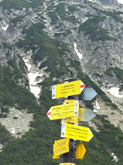 The image shows a signpost with multiple directional signs pointing to various locations in a mountainous area. The signs are predominantly yellow with black text and red and white directional markers. One sign reads "х. Забрачища ZAVRACHICA hut 10.6 km / 4 h". Another sign indicates "м. НЕХТЕНИТСА / NEKHTENITSA area 5.5 km / 1 h 30 min" and "гр. ЯКОРУДА / YAKORUDA village 17.5 km / 5 h". A third sign points towards "вр. СУХА ВАЛА (лятна) SUHA VAPA peak (summer) 3.4 km / 1 h 30 min". A partially visible sign at the bottom reads "Х. ТРЕЩЕНИК / H. TRESHTENIK". The background consists of a steep, rocky mountain slope covered in patches of green vegetation and snow. The lighting suggests it is daytime, with the sun illuminating the scene. The image is taken from a slightly low angle, looking up towards the mountains. This signpost is located in the Rila Mountains, near the village of Avramovo, Bulgaria, indicating hiking routes and distances to various natural landmarks and settlements. There are no people visible in the frame.