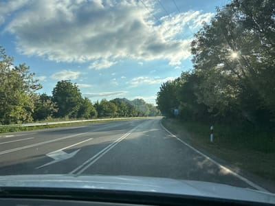 The image shows a view from inside a vehicle driving on a two-lane asphalt road in Kesarevo, Bulgaria. The road is marked with double white lines down the center and a white arrow indicating a left turn. A guardrail runs along the left side of the road, and trees line both sides. Sunlight filters through the trees on the right. A sign and a striped red and white post are visible on the right shoulder. The sky is blue with scattered clouds.