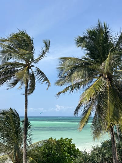 This image depicts a tropical coastal scene in Kiwengwa, Tanzania, overlooking the Indian Ocean. The foreground is comprised of dense green tropical foliage, including two prominent palm trees with green fronds framing the central view. The left palm tree extends vertically almost the full height of the frame, while the right palm tree is positioned on the right side. Beyond the foliage, a narrow strip of white sandy beach transitions into the ocean. The water exhibits a clear, multi-tonal appearance, shifting from light turquoise in the shallower areas to a deeper blue-green further offshore. The horizon line separates the ocean from a clear blue sky, which contains minimal wispy white cloud formations. In the distant ocean, a single, light-colored kite is visible in the sky, indicative of kitesurfing activity. Below the kite and closer to the shore, two dark, elongated watercraft, possibly traditional dhows or canoes, are present on the water. No distinctly identifiable human figures are visible, though forms within the distant watercraft are suggested. The scene is illuminated by bright daylight.