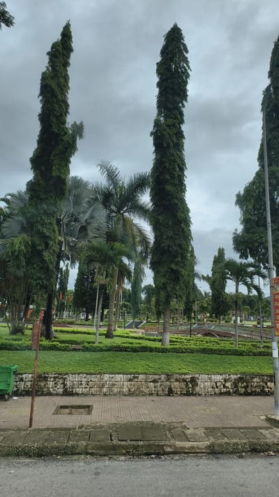 The image shows a park with several tall, slender trees, some of which appear to be cypress trees. There are also palm trees and other greenery. The park has a stone wall separating it from a paved walkway and a road. A green trash can is visible on the left side of the image, and a red sign on a pole is on the right. The sky is overcast, suggesting it may be cloudy or raining. The scene appears to be in Xã Đăk Tô, Vietnam, as indicated by the presence of what looks like Vietnamese writing on the red sign.