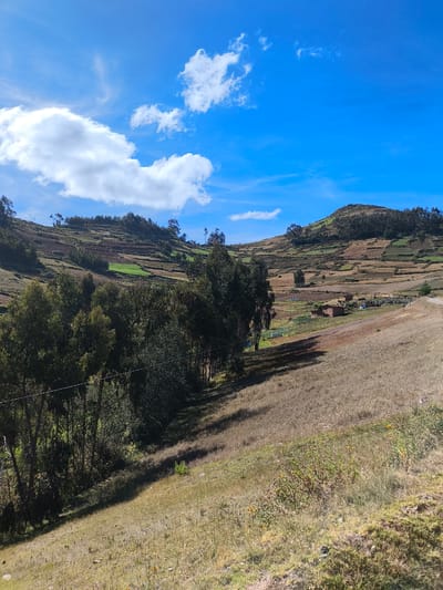 The image depicts a rural landscape in San Ignacio, Peru. The foreground features a grassy slope with patches of dry vegetation and some wildflowers. A line of trees runs along the slope, casting shadows. In the middle ground, terraced hills rise, displaying a patchwork of agricultural fields in varying shades of brown and green. Some small buildings are visible nestled among the fields. The sky is a bright blue with scattered white clouds.
