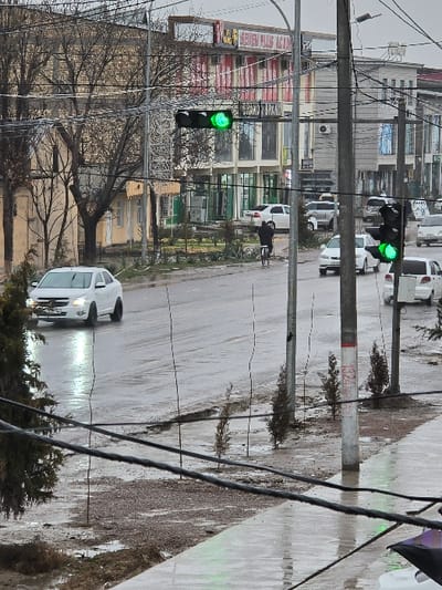 The image depicts an urban street scene in Buka, Uzbekistan, observed on an overcast or rainy day, indicated by the wet asphalt road and concrete sidewalk.

In the immediate foreground, a dark green shrub is visible on the lower left. Horizontally strung black utility cables traverse the lower portion of the frame, partially obscuring a muddy, gravelly strip of ground interspersed with small puddles and several slender, leafless saplings or stakes. A wet, reflective concrete sidewalk extends from the bottom center to the right. Multiple gray utility poles rise vertically from this ground, with one on the far right exhibiting red and white banded markings.

The midground features a two-lane asphalt road, heavily wet and reflecting ambient light. Traffic is flowing, indicated by green signals on two overhead traffic light assemblies: one suspended over the left lane and another mounted on a pole to the right. A white sedan, possibly a Chevrolet model, approaches from the left lane with its headlights illuminated, creating reflections on the wet surface. Towards the center-right of the road, a person dressed in dark attire rides a bicycle away from the viewer. Further down the right lane, several white vehicles, including a sedan and a larger SUV or minivan, are visible. Additional vehicles, including a dark SUV and another white car, are present in the more distant left lane.

The background consists of various buildings and sparse vegetation. On the left, older, light-colored, multi-story buildings stand behind a network of bare, deciduous trees, suggesting a dormant season. In the center-right, a prominent modern commercial building displays a large red-on-white sign reading "SEVEN PLUS ACADEMY" and a dark banner beneath it stating "GRAND SHAHAR." This building features multiple windows and visible air conditioning units. Other commercial or mixed-use structures with varied facades line the street further right. The sky overhead is a uniform light gray, consistent with overcast conditions.