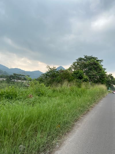 The image shows a grassy roadside in Kecamatan Margaasih, Indonesia (latitude: -6.963, longitude: 107.538). Lush green grass grows along the edge of an asphalt road. In the background, a cluster of trees and a small mountain range can be seen against a backdrop of an overcast sky. A few cars are driving on the road in the distance.