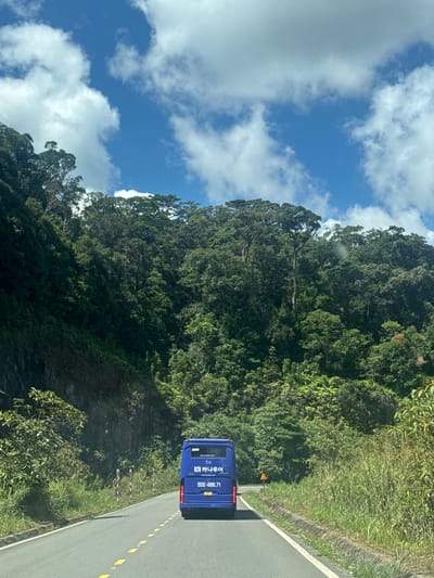 The image captures a view from a moving vehicle on a paved road winding through a lush, mountainous landscape. The road, marked with yellow dashed lines, recedes into the distance. On the left, a steep, rocky slope is covered in dense green vegetation. On the right, the roadside is bordered by tall grasses and more trees. The background is dominated by a densely forested mountain range, with the canopy of trees stretching across the horizon. The sky above is a bright blue, punctuated by scattered white clouds. A blue bus with Korean text and the license plate "50E-466.71" is visible ahead on the road. Several yellow and white striped markers are positioned along the side of the road, and a triangular warning sign is also present. The scene appears to be set in the vicinity of Lac Duong, Vietnam, a region known for its natural beauty and mountainous terrain.