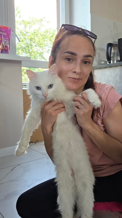 A woman is holding a white cat in a room that appears to be a kitchen. The woman has brown hair and is wearing a pink t-shirt and black pants. The cat is white with blue eyes. There is a window in the background with trees visible outside. A kettle and other kitchen appliances are on a counter behind the woman. The floor is tiled.