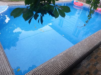 The image depicts a clean, blue tiled swimming pool with water. Several inflatable toys, including a red ring and pink cylinders, are visible in the water. A tree with large green leaves hangs over the edge of the pool, casting shadows on the water's surface. A few fallen leaves are scattered in the pool. The pool is surrounded by a tiled edge and a paved area. The scene appears to be an outdoor setting, possibly a resort or private residence, in Charvak, Uzbekistan. The overall impression is one of a refreshing and recreational environment.