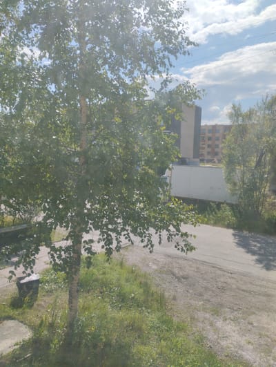 In the city of Solnechny, Russia, an outdoor scene is captured under a bright, sunny sky with scattered clouds. A young birch tree with light-colored bark and green leaves dominates the foreground, its branches partially obscuring the view. Behind the tree, a paved road curves into the distance. On the right side of the road, a large, white box truck is parked. In the background, two multi-story apartment buildings are visible, one a lighter color with a dark band, and another with multiple levels of windows. The ground is a mix of grass and dirt, with some concrete elements visible in the lower left, including a dark trash receptacle. The overall impression is of a residential area on a clear, warm day.