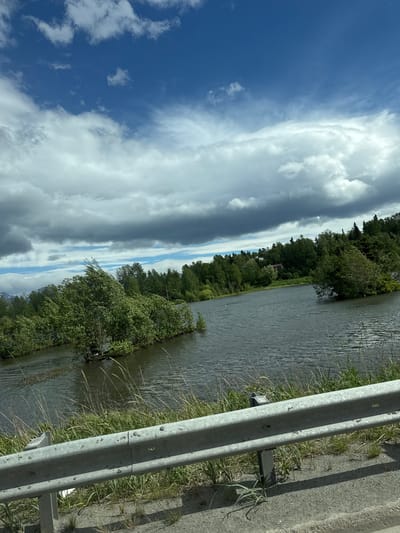 This image captures a serene natural landscape under a dynamic sky, likely taken from a roadside vantage point in Anchorage, Alaska, United States of America. The foreground is dominated by a silver metal guardrail, typical of a road buffer, with dry grass and sparse vegetation growing around its base. Beyond the guardrail, a body of water, possibly a river or lake, stretches across the scene. Several small islands covered in lush green trees and bushes dot the water, some appearing to be submerged or very close to the water's surface. The water itself is a dark, murky grey, reflecting the overcast sky.

The background features a dense line of trees, predominantly evergreen, that forms a natural horizon. In the distance, hints of mountainous terrain can be seen peeking through the foliage, suggesting the rugged Alaskan topography. Above, the sky is a dramatic mix of bright blue patches and heavy, dark grey clouds, with some lighter, wispy clouds scattered throughout. The interplay of light and shadow on the water and vegetation indicates a partly cloudy day with a strong breeze, as evidenced by the way the trees on the islands are leaning. The scene conveys a sense of wild, untouched nature within or near an urban setting, characteristic of Anchorage. No people are visible in the image.
