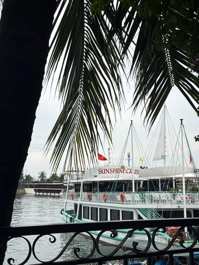 In Tuan Chau Ward, Vietnam, a close-up view of palm fronds frames a scene on a cloudy day featuring a white cruise ship named "SUNSHINE CRUISE". The ship is docked in the water, with its name prominently displayed in red lettering. Several life preservers are visible on its deck, along with white railings and windows. A Vietnamese flag flies from the ship's mast. In the background, another boat with a darker hull is also moored. The water is calm, and the overall atmosphere is serene.