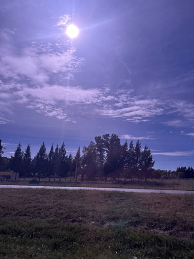 The image depicts a daytime, semi-rural landscape located in Chascomús, Argentina. The scene is dominated by a bright, high-intensity sun in the upper-left quadrant of a purple-blue sky, creating significant lens flare. The sky contains scattered white cirrus and stratocumulus clouds. Below the horizon, a paved road stretches horizontally across the midground. Adjacent to the far side of the road, a line of dense, dark green trees, including both conifer-like and broader-leafed varieties, forms a visual barrier. Utility poles and power lines are discernible above the tree line. In the foreground, a field of dry, unkempt green and brown grass covers the lower third of the frame. No individuals or active interactions are present. Visible structures include a faint blue object at the base of the trees near the left, a light-colored fence or building facade partially obscured by trees to the left, and a rounded, metallic, geodesic-like frame structure in the far right background.