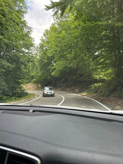 A car is driving on a winding road through a dense forest. The trees are lush and green, suggesting it is daytime in a temperate season. The road has white lane markings, and there is a triangular warning sign visible. The perspective is from inside another vehicle, looking out through the windshield. The interior of the car, including a dashboard and a speaker, is partially visible on the right side of the frame. The sky is cloudy. No people are clearly visible. The license plate of the car is partially visible and appears to read "PG 1D 101".