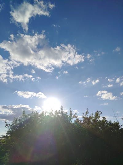 The image is a low-angle, full-shot photograph taken outdoors during daylight hours. The scene is dominated by a bright, hazy sun positioned centrally in the frame, just above a dense line of dark green foliage that occupies the lower third of the image. Rays of sunlight emanate from the sun, creating a lens flare effect and casting a bright glow that obscures details within the foliage. The upper two-thirds of the image consist of a vibrant blue sky with scattered white, fluffy clouds. Some of the clouds are brightly illuminated by the sun, while others appear in shadow. The foliage appears to be a collection of trees or bushes, with the tops of their branches and leaves silhouetted against the bright sky and sun. The overall impression is of a sunny day, possibly late afternoon, with the sun partially hidden by the vegetation. The image does not contain any people or visible structures that would indicate a specific location within the city of Zyryanskoye, Russia.