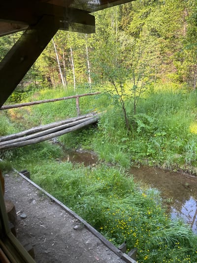 The image depicts a rustic wooden bridge crossing a shallow, clear stream amidst a lush green forest. The bridge is constructed from three rough-hewn logs laid parallel across the water. A simple wooden railing, made from smaller branches, runs along one side of the bridge, supported by wooden posts. The stream banks are densely covered with tall green grass and dotted with small yellow wildflowers. The surrounding forest consists of a mix of deciduous trees with vibrant green leaves and taller evergreen trees. Sunlight filters through the canopy, illuminating patches of the forest floor. In the foreground, a dirt path with scattered stones and a wooden structure, possibly part of a gazebo or deck, are visible. The scene suggests a natural, tranquil setting within a wooded area, likely in or near Bol'shaya Rechka, Russia. There are no people or animals present in the image.